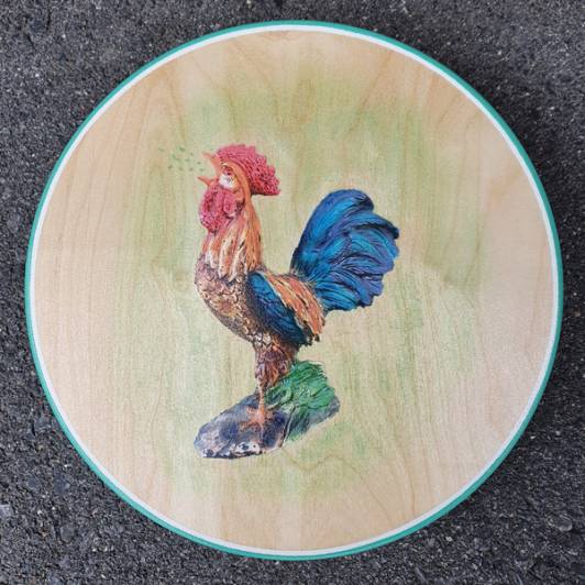 Balancekreisel / Balanceboard aus Holz mit Fotoprint